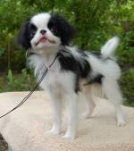 Уме Эльв - 5 мес